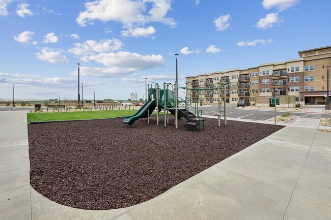 Building Photo - 4155 Carson Ln