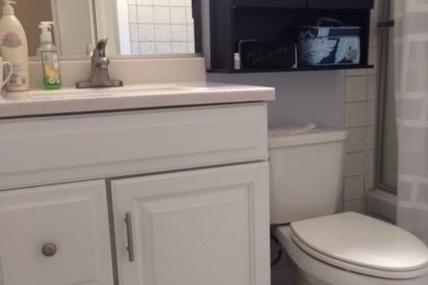 Downstairs Bath - 131 14th St