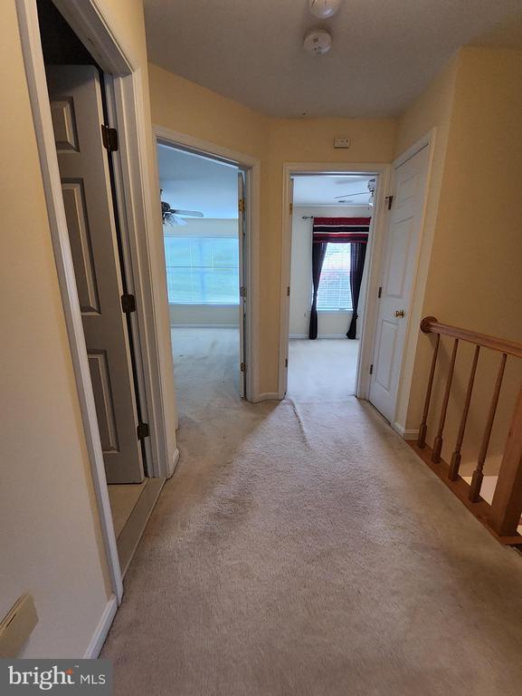 Building Photo - 8612 Sanderling Dr