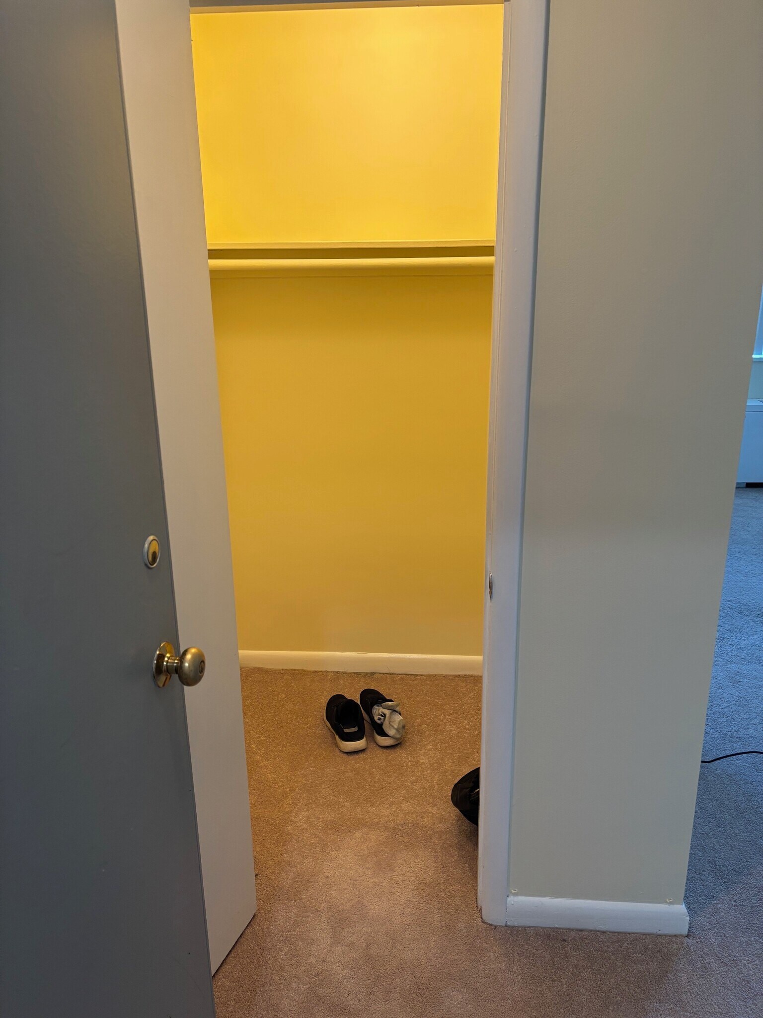 Step in Closet by front door - 3515 Washington Blvd