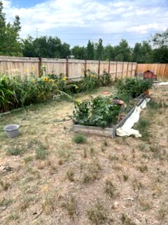 Building Photo - 1005 Newton St