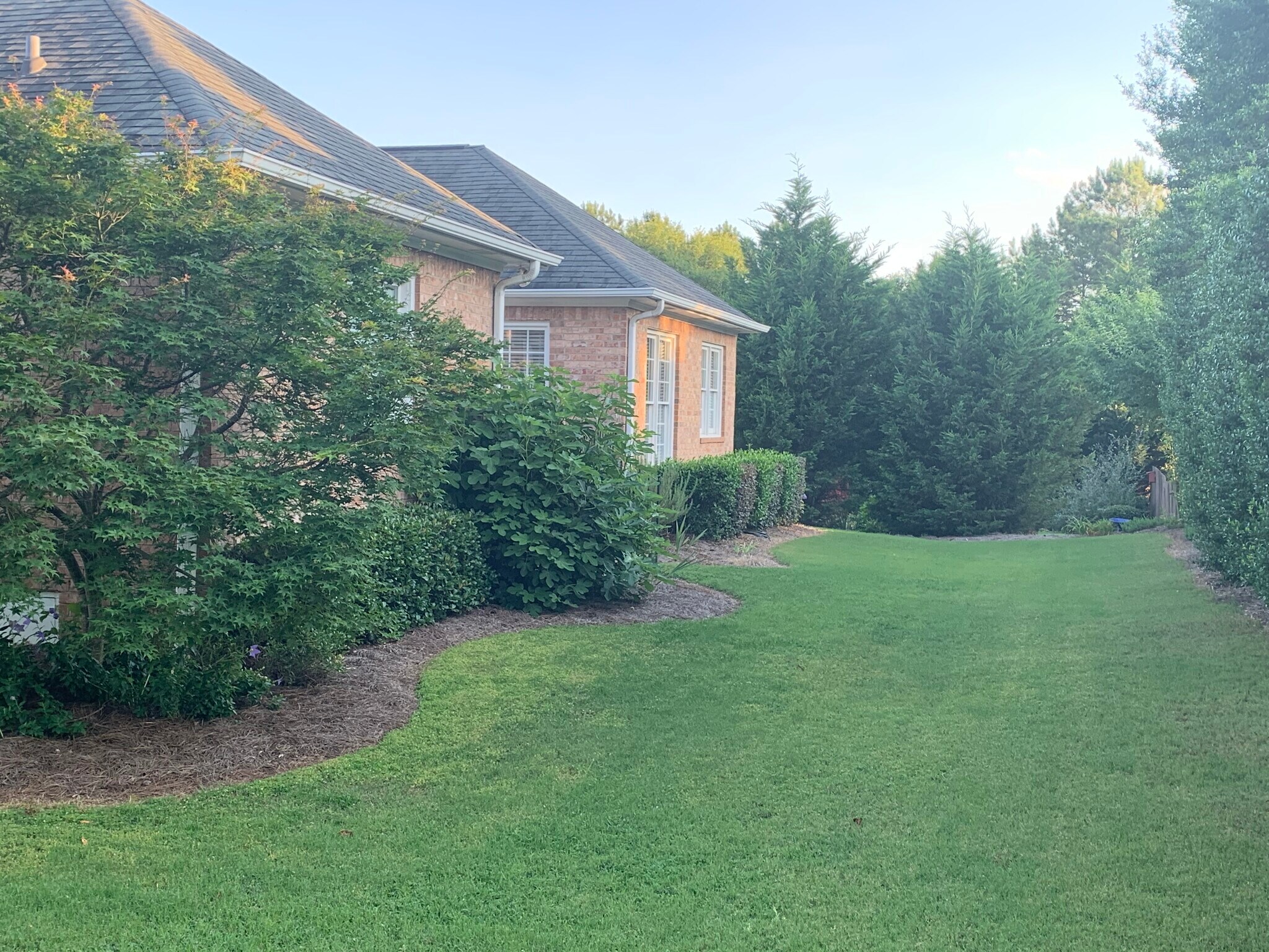 Back Yard - 415 St. Ives Trace