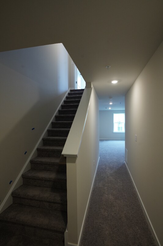 Building Photo - 259 Talucci Dr