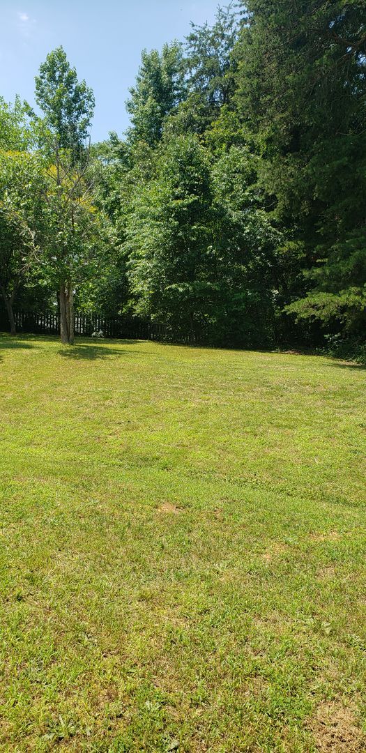 Building Photo - Very nice 3 Level in Fredericksburg!