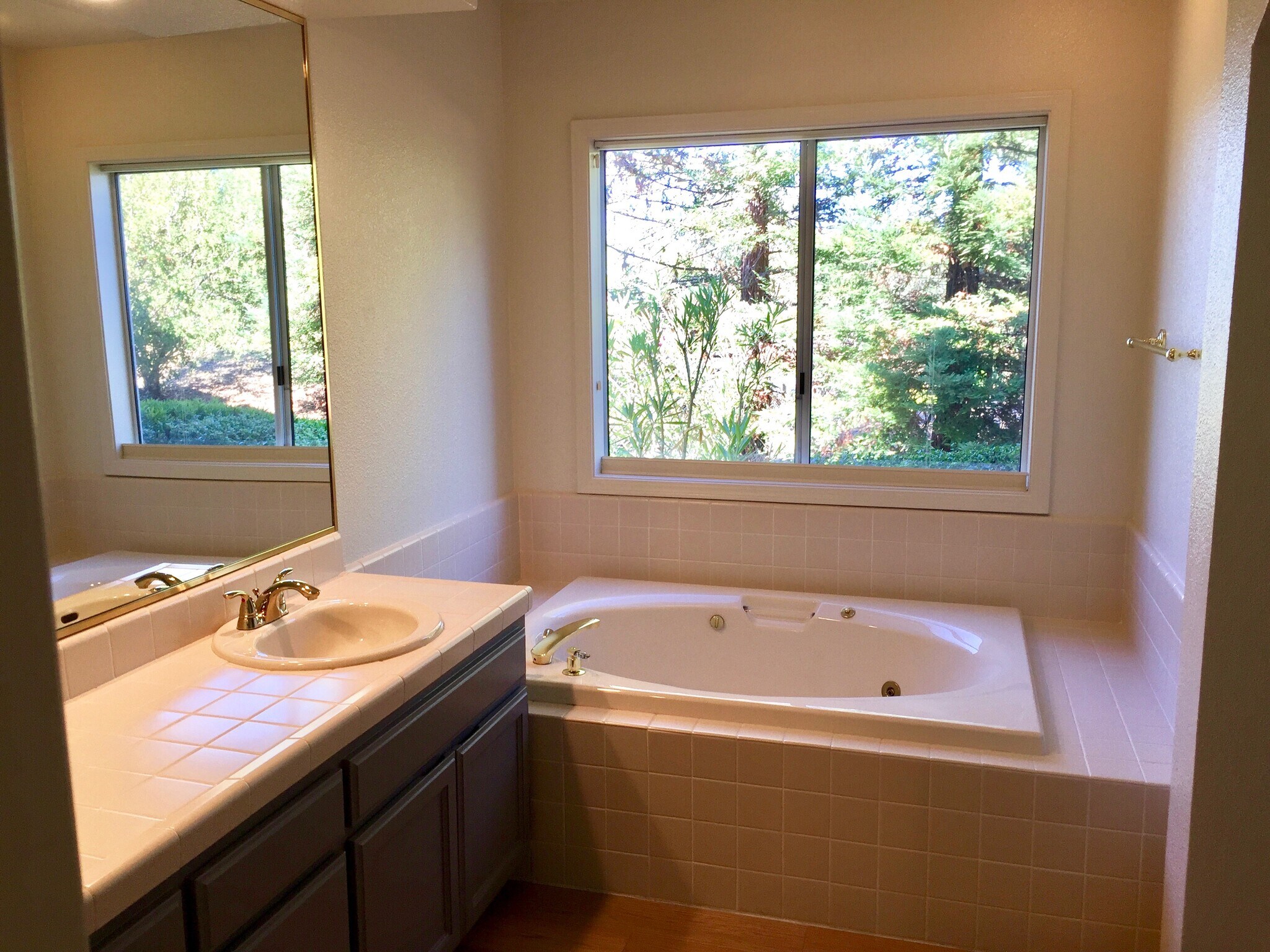 Jacuzzi Tub (shower not shown) - 2103 Stonefield Ln