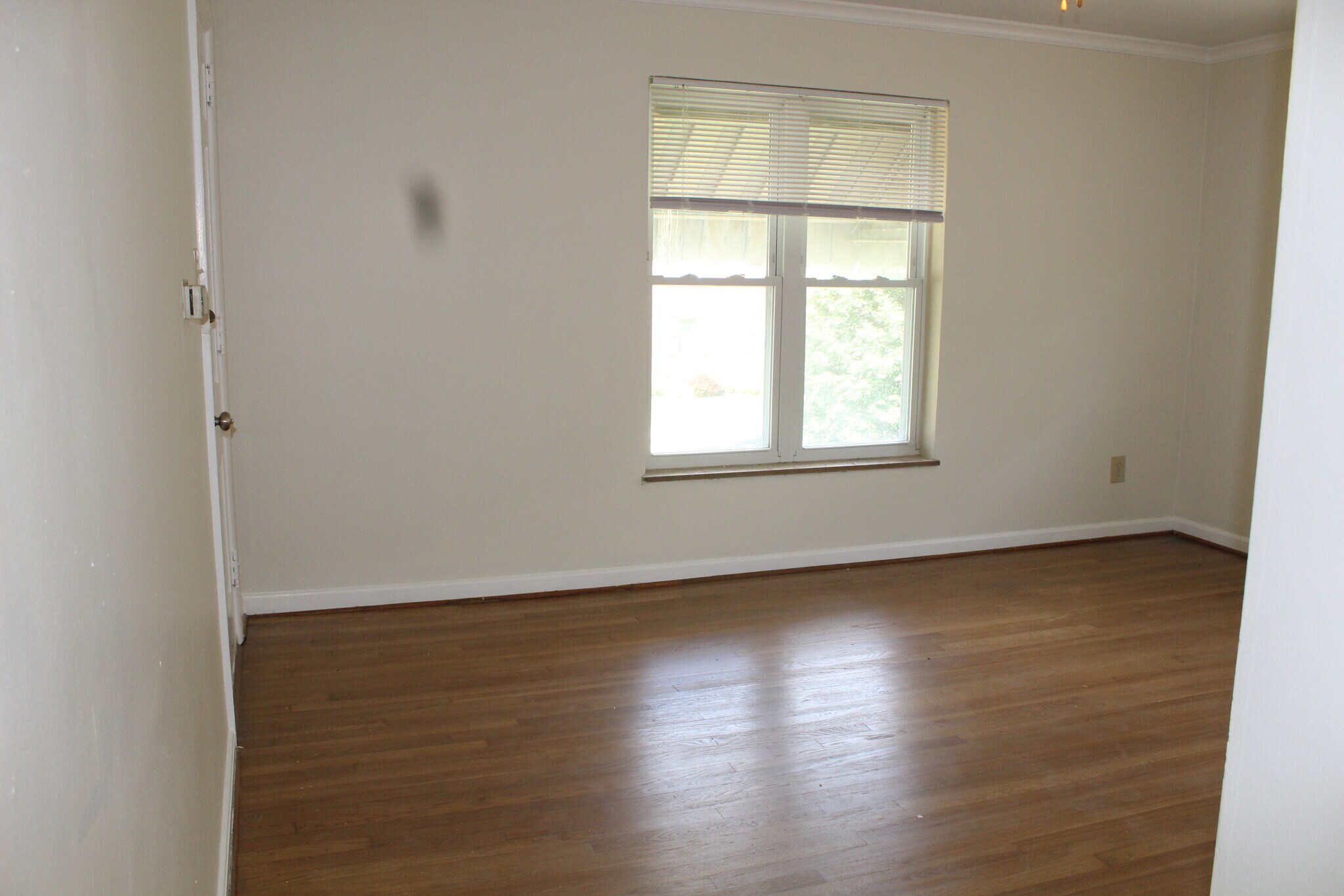 Building Photo - 1448 Elmwood Ave