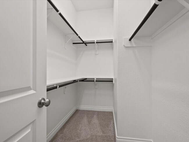 Building Photo - 2503 Elmwood Trl