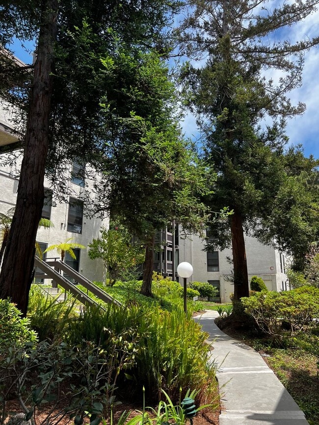 Building Photo - Two Bedroom One Bath Condo for Rent in Pla...