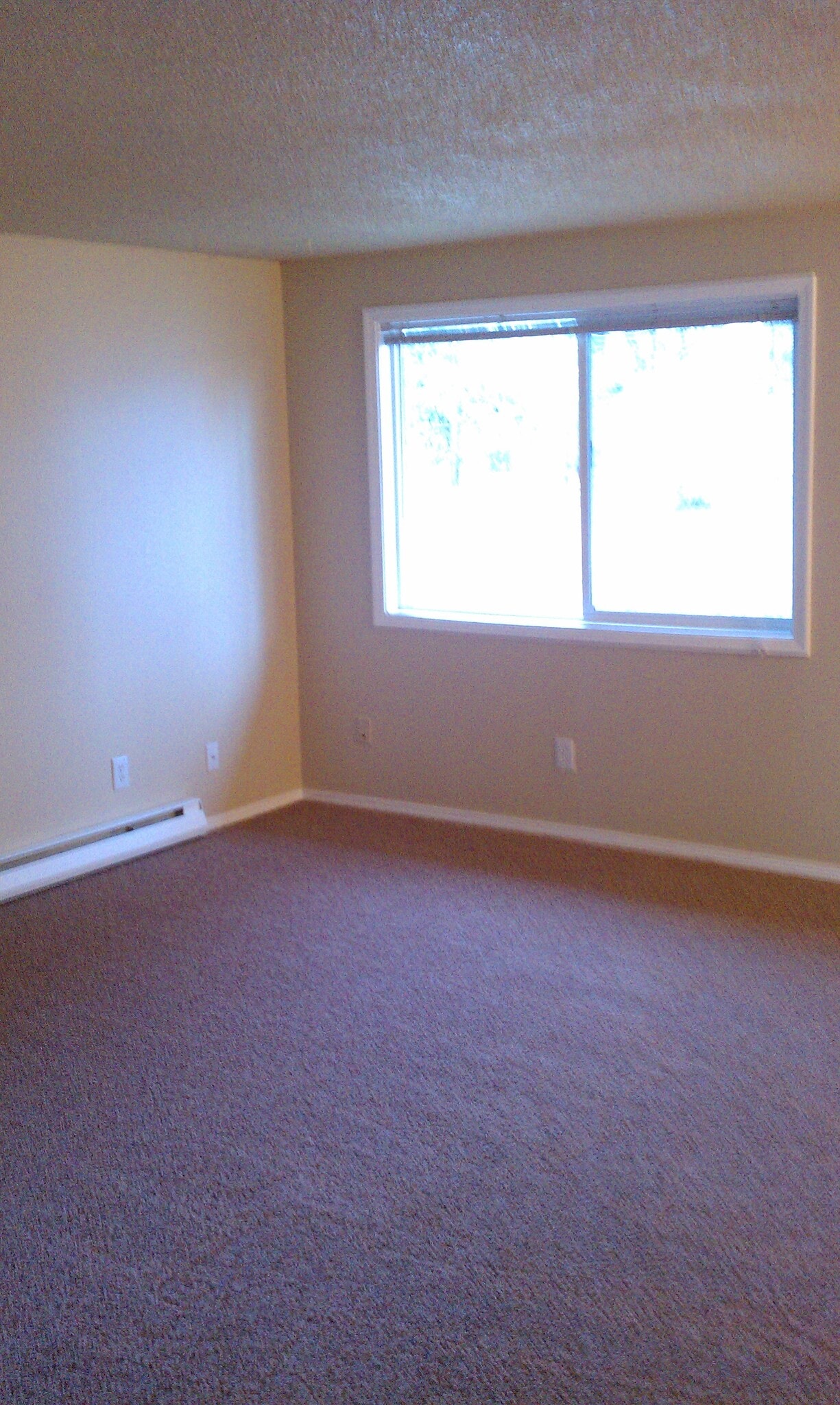 Building Photo - 312 N Silver Lake Ave