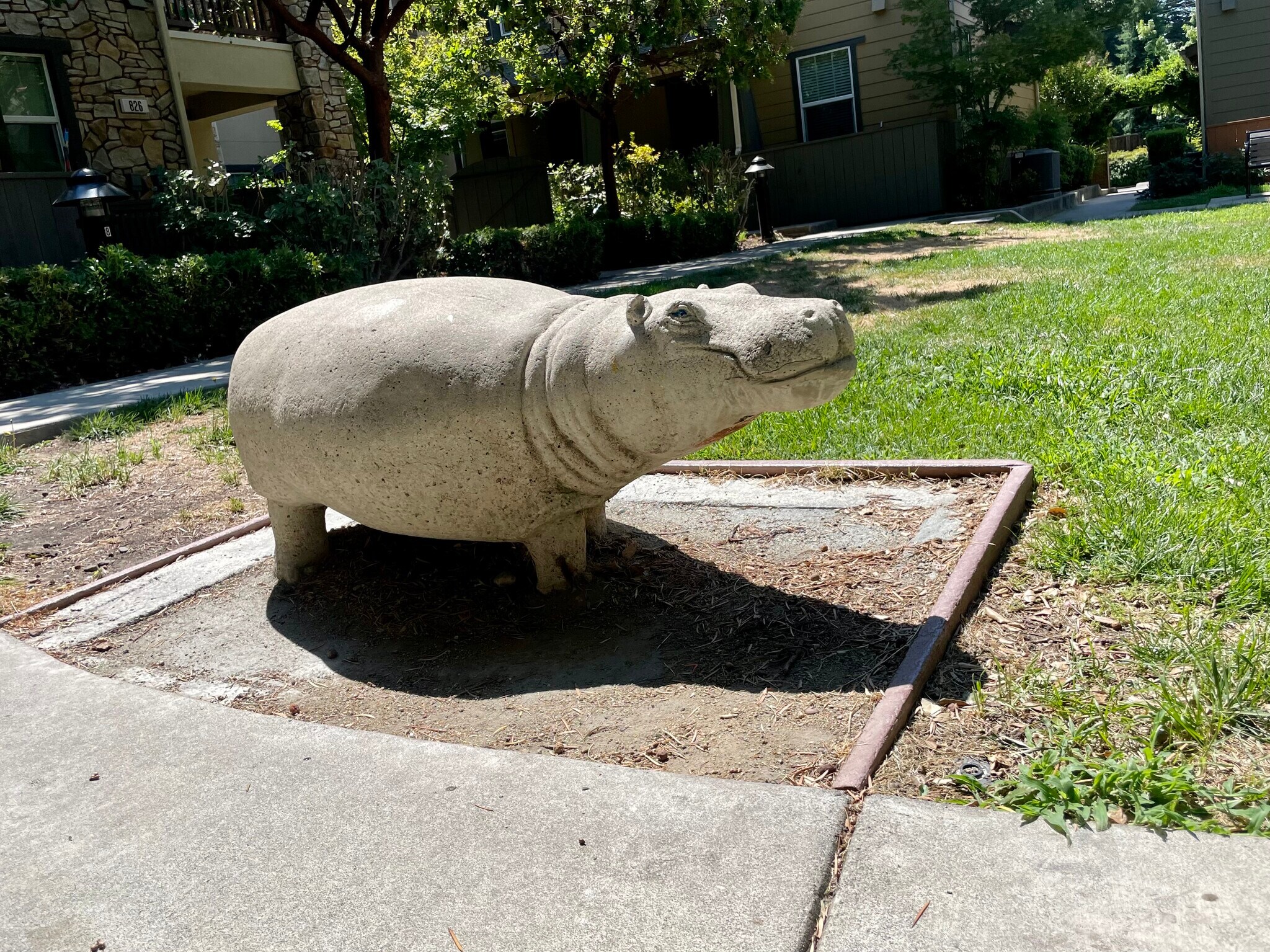 Community art! - 722 El Paseo Cir