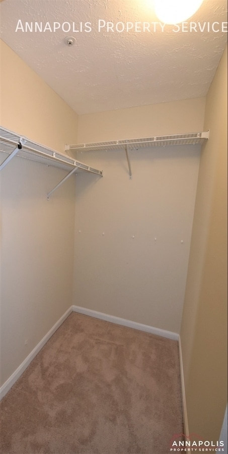 Building Photo - 626 Jupiter Hills Ct