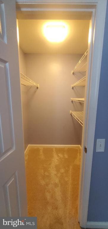 Building Photo - 8202 Catbird Cir