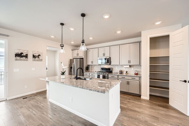 Building Photo - Evolve Real Estate: Available Immediately! Almost NEW Large 3 Bedroom in STERLING RANCH!