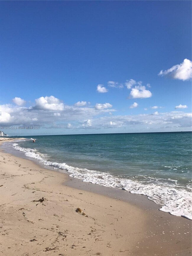 Primary Photo - 8233 Harding Ave