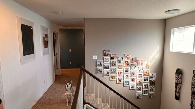 Building Photo - Spacious 4BR House in Fort Collins