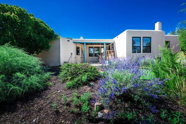 Building Photo - Vibrant Home Off Rodeo Rd.