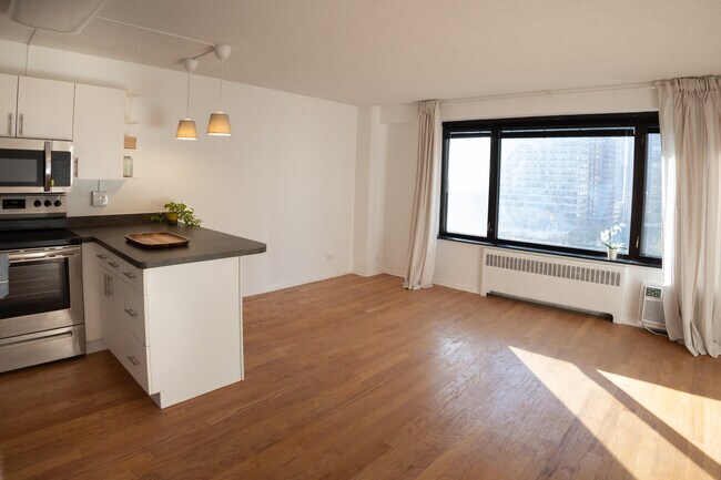 Building Photo - 3100 N Lake Shore Dr