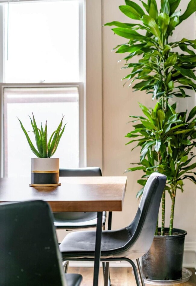 Building Photo - 575 1/2 City Park Avenue-SI ID1265634P