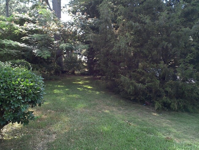 Building Photo - **UPCOMING**East Columbus 3 bedroom/1 bath...