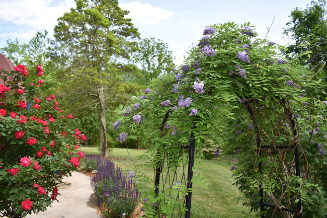 Glorious Colorful Perennial Landscaping - 336 Chunns Cove Rd