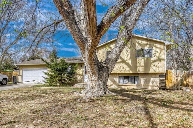 Building Photo - Spacious Cul-de-Sac Home Near CSU