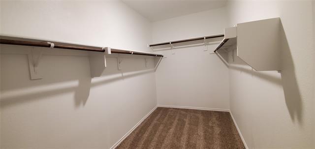 Building Photo - 813 Fueller Dr