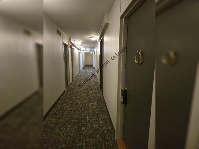 Building Photo - 1455 N Sandburg Terrace