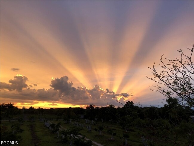 Building Photo - 13098 Ficus Tree Ln