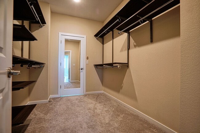 Building Photo - 3364 Caldora Ln