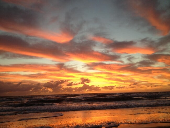 Building Photo - 2600 Revolution St