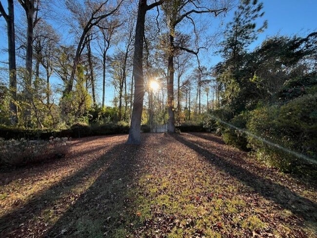 Building Photo - Beautifully Updated House in Forest Hills!