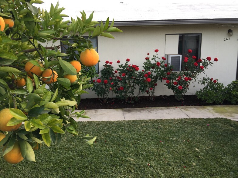 Building Photo - 263 N Florence St