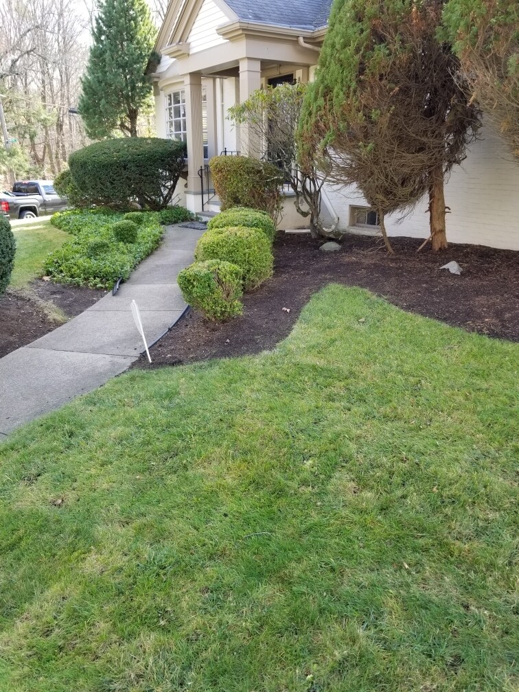 front yard - 40 Brookway Rd