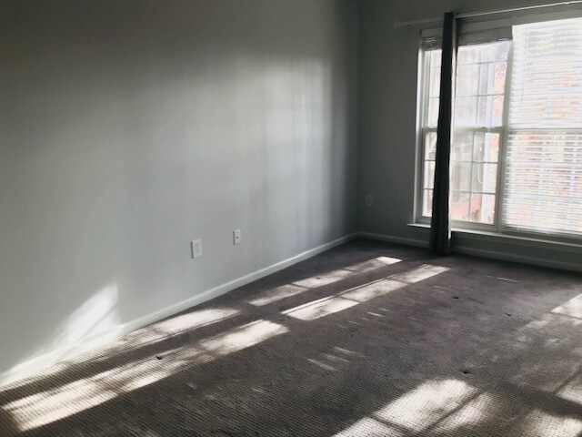 Building Photo - 503 Walkingstick Way