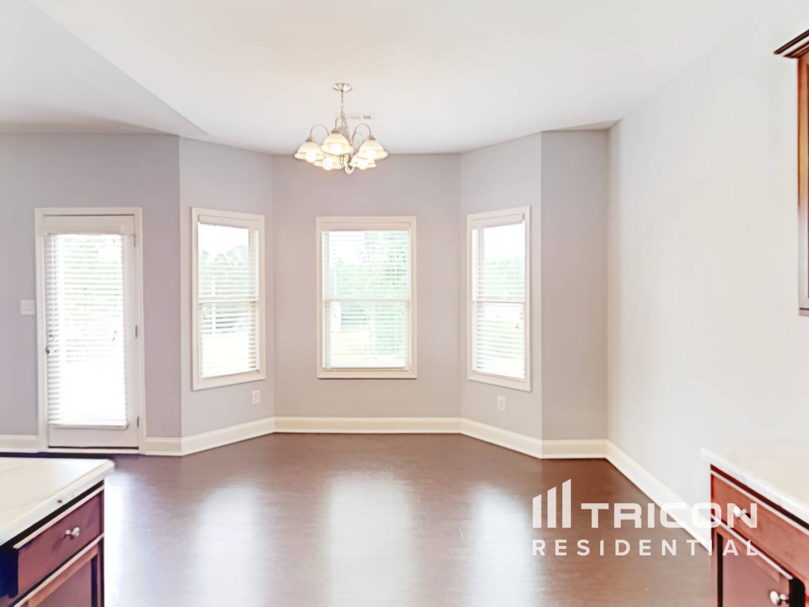 Building Photo - 249 White Creek Dr