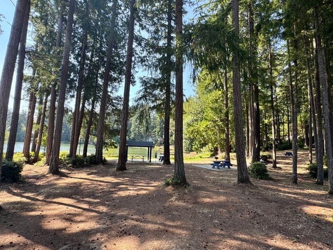 Building Photo - Private Palmer Lake Home w/ 3 Bedrooms, Of...