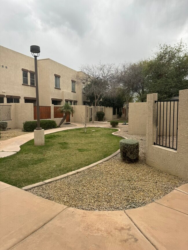 Dog Park in front of Backyard - 1886 E Don Carlos Ave