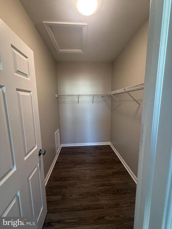 Building Photo - 8204 Blue Heron Dr