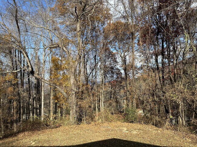 Building Photo - 430 Lytle Cove Rd