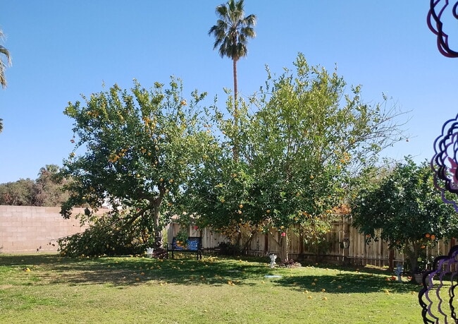 Building Photo - Central Palm Desert Home (3b/2b)