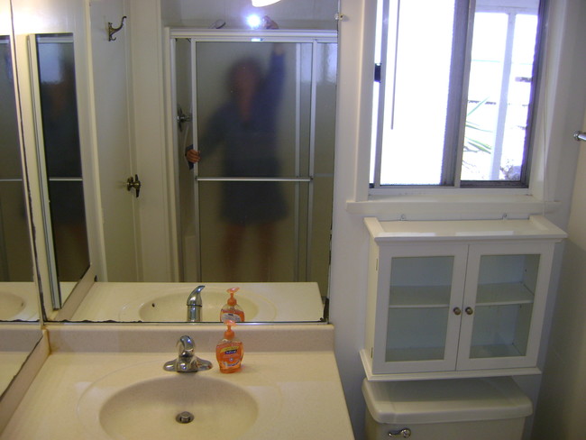 2nd bathroom - 29500 Heathercliff Rd