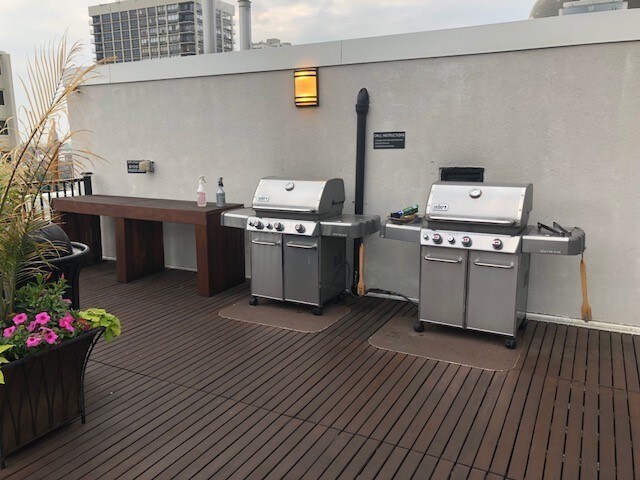 updated roof deck - 1339 N Dearborn St