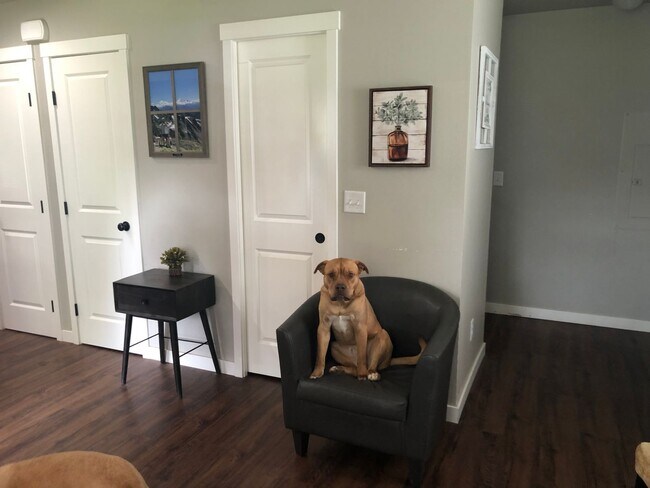 Building Photo - Newer Pet Friendly Home with detached Garage close to Barkley Trail system