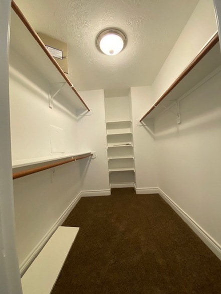 Building Photo - 3415 Clearview Cir