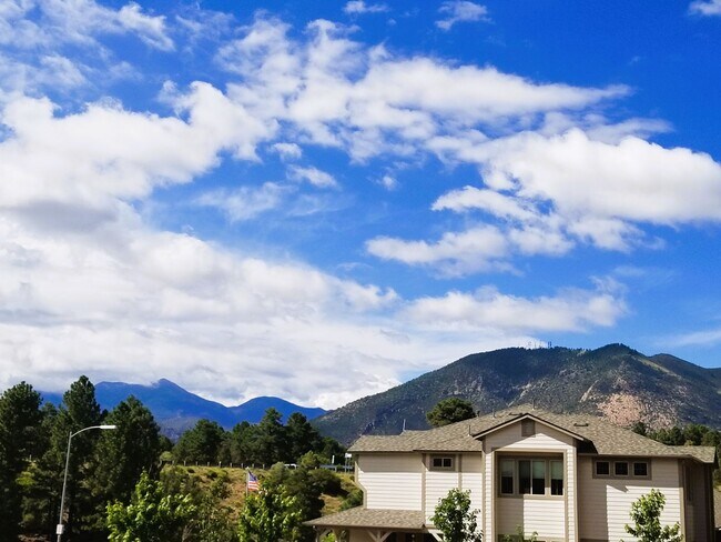 Building Photo - Rare, Single Level, Forest Springs Home! 3...