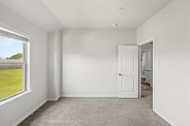 Building Photo - 2317 Cortellia St