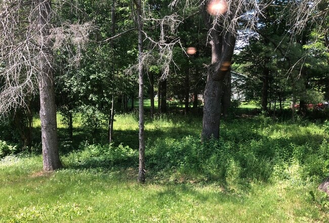 1/2 an Acre of Land - 246 Sapsucker Woods Rd