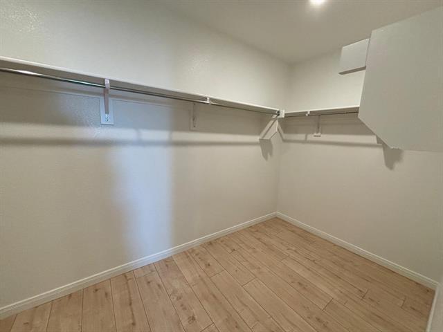 Building Photo - 1444 Indian Mallow Ct