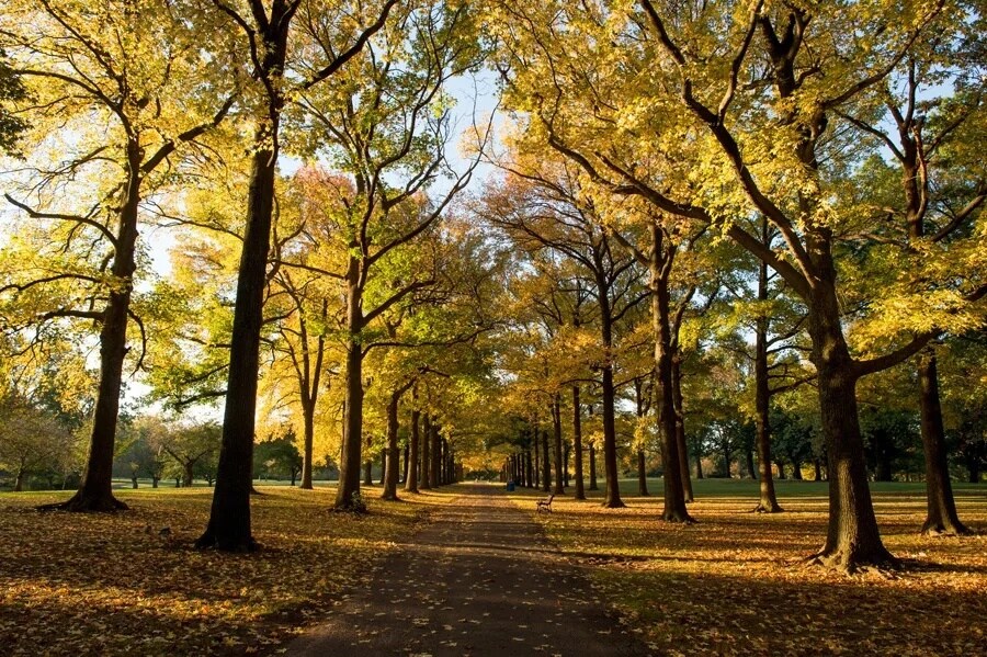 ove 204 acres of county park - 128 Berwick St