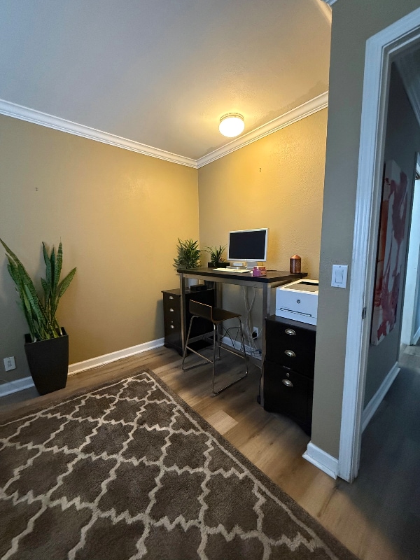 Building Photo - 341 Avenida Pinos